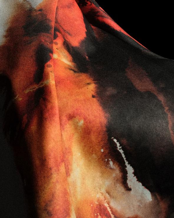 组织者的多 组织者的多