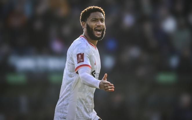 处理上更为 处理上更为